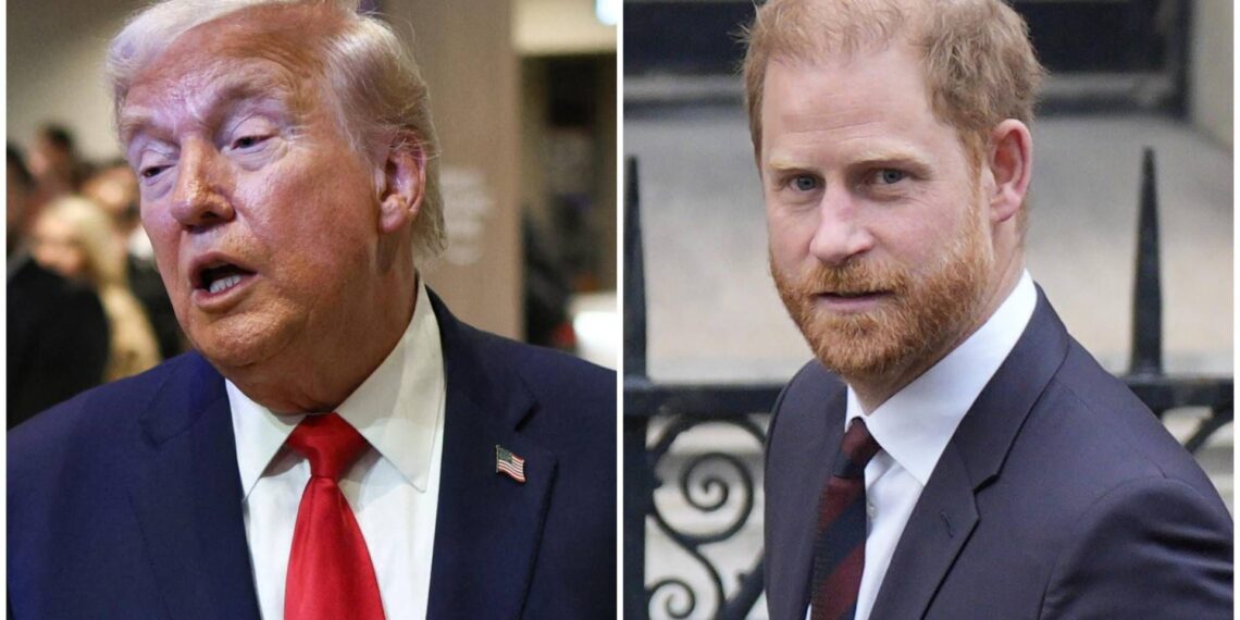 Trump offende soldati Nato: “In Afghanistan erano dietro”. Principe Harry: “Rispetti i sacrifici”