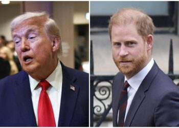 Trump offende soldati Nato: “In Afghanistan erano dietro”. Principe Harry: “Rispetti i sacrifici”