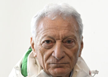 Video Pd con Constantini e Mosaner per il no al referendum, Buonfiglio ‘sbalordito’