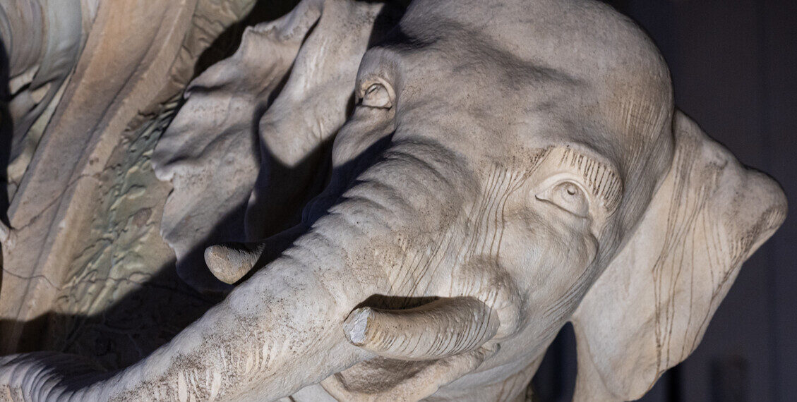 Danneggiata la statua dell’elefantino del Bernini a Roma, ‘indegno sfregio’