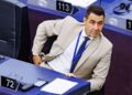 Europarlamento, il generale Vannacci in Ue con l’AfD: destra ‘trina’ anche in Italia