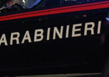 Colpito da un tronco, muore un 76enne nel Cuneese